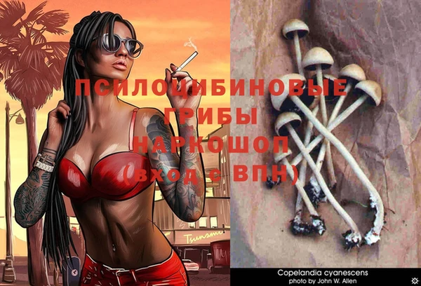 дмт Алексеевка
