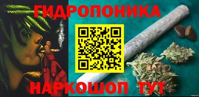 мдпв Аргун