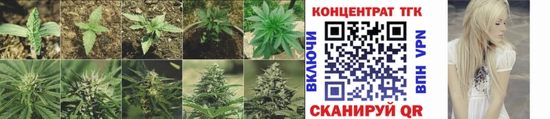 ТГК концентрат  Бахчисарай 