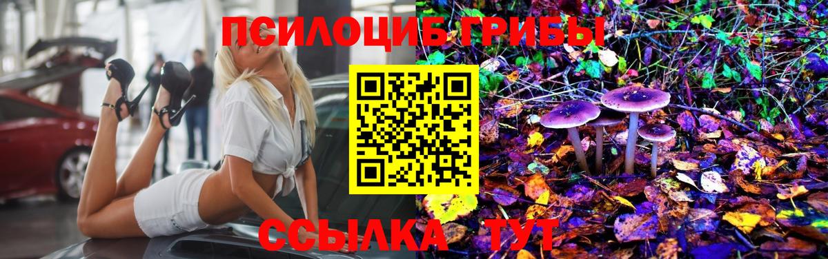 Псилоцибиновые грибы Magic Shrooms Бахчисарай